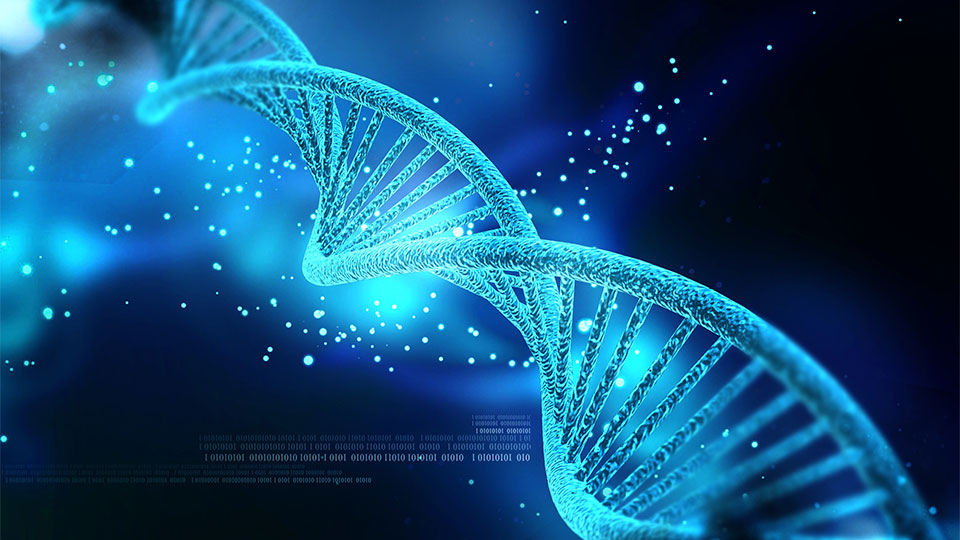 DNA Genetic Testing Kits